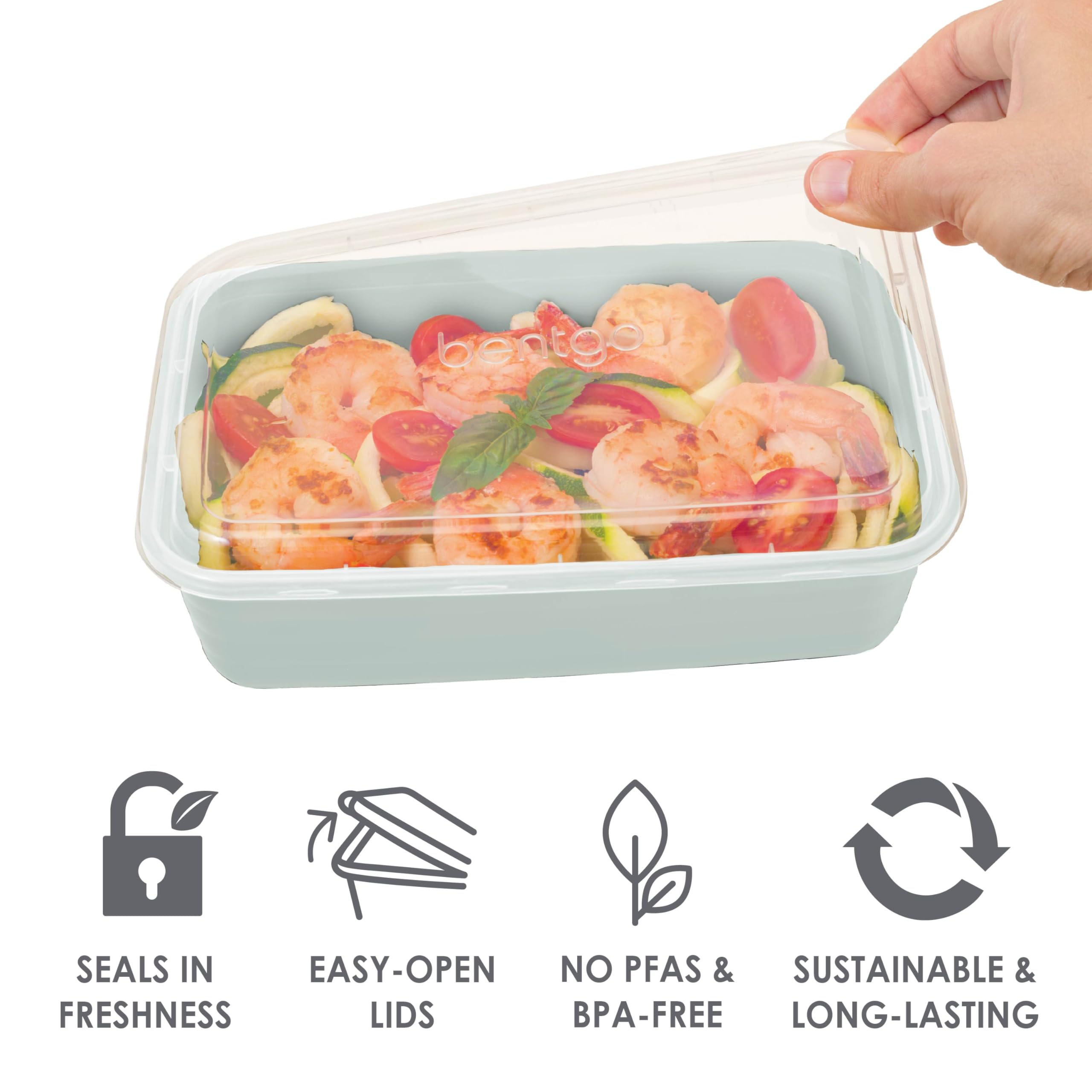 Bentgo comparaison taille dans une main pour évaluer portions