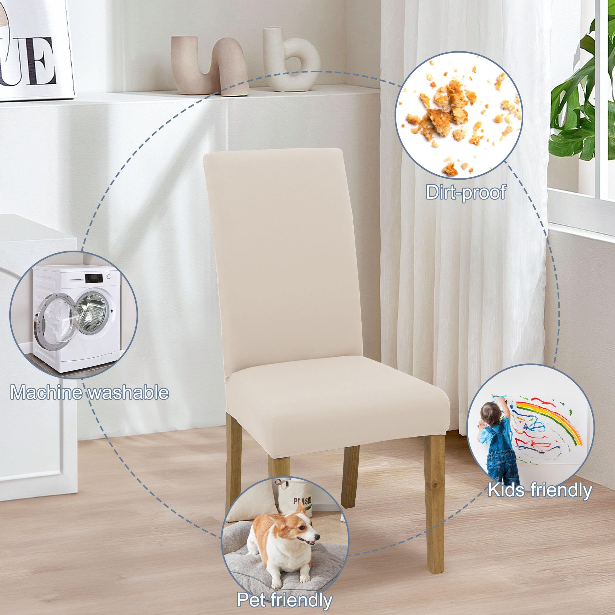 BIETYONE ensemble de chaises habillées montrant renouveau esthétique