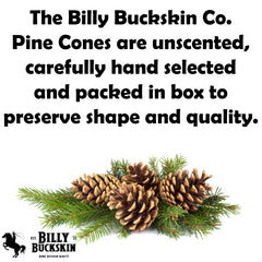 BILLY BUCKSKIN pommes de pin dans un vase, apporte chaleur décorative