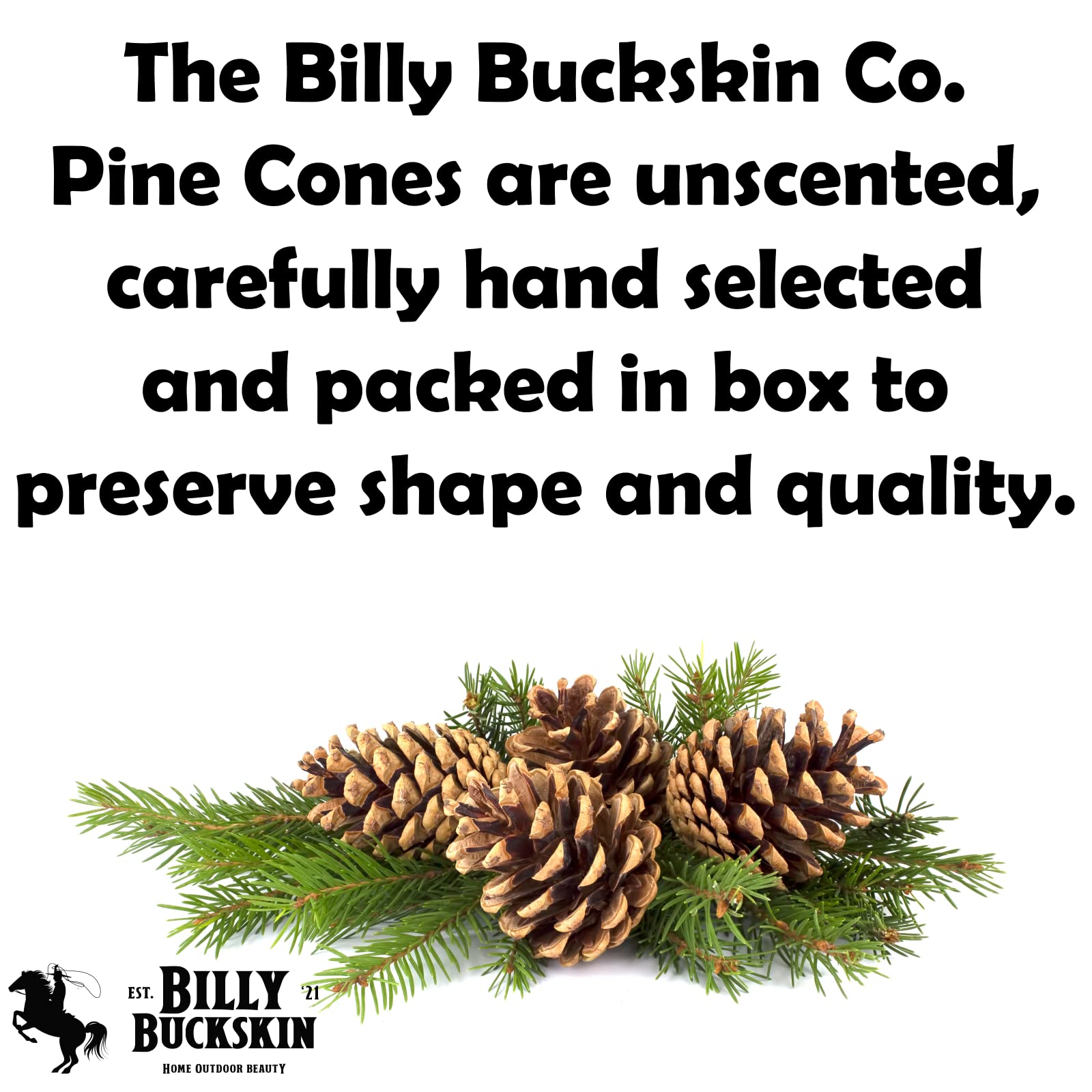 BILLY BUCKSKIN pommes de pin ornant un sapin, ajout rustique festif