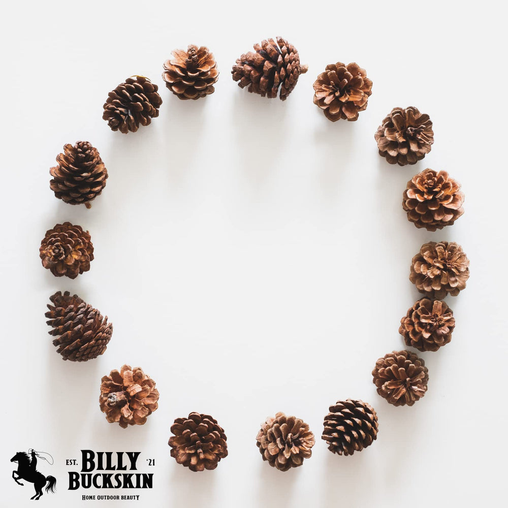BILLY BUCKSKIN comparaison d’échelle avec règle, confirme taille 3–4 pouces