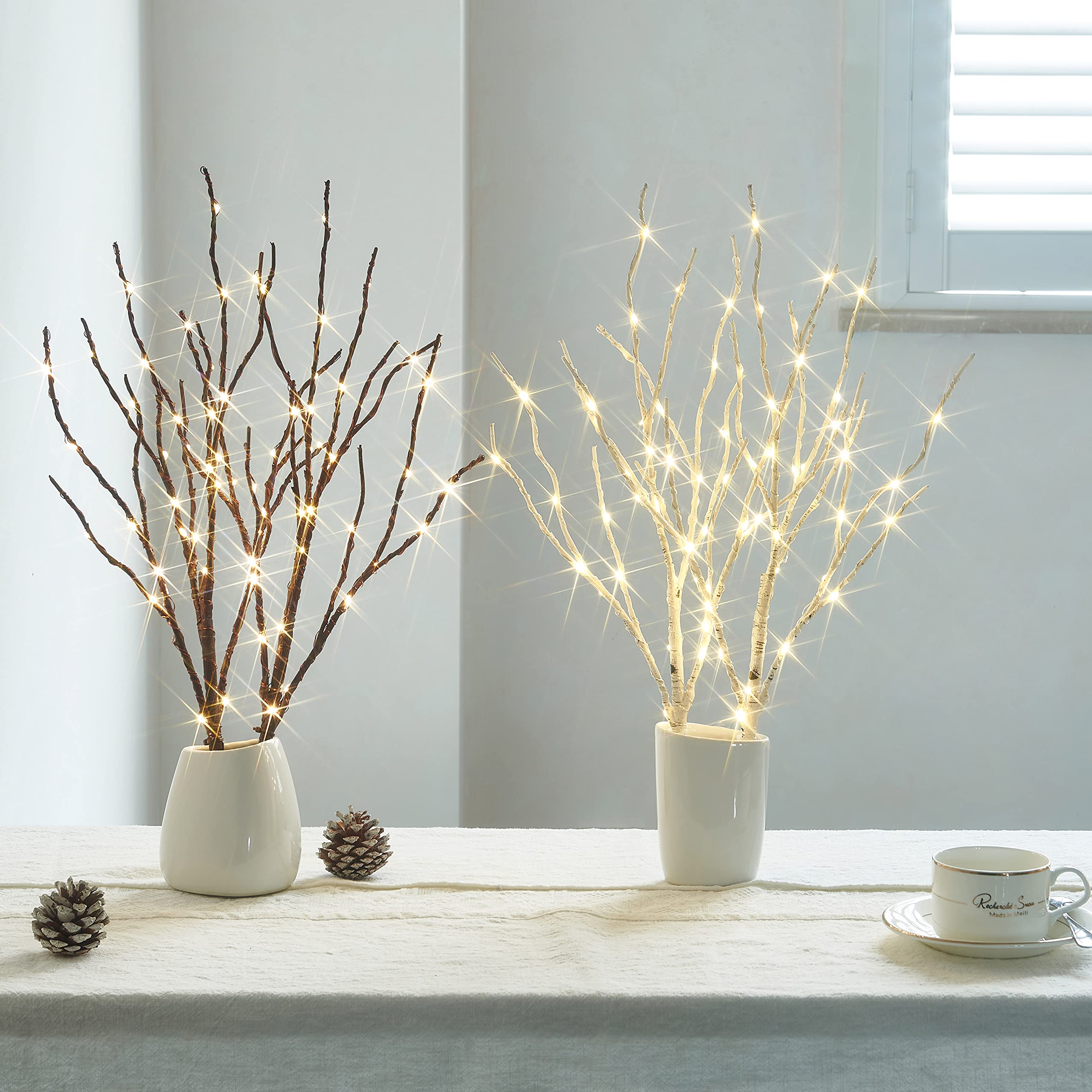 Birchlitland branches dans vase comparé à main pour échelle précise