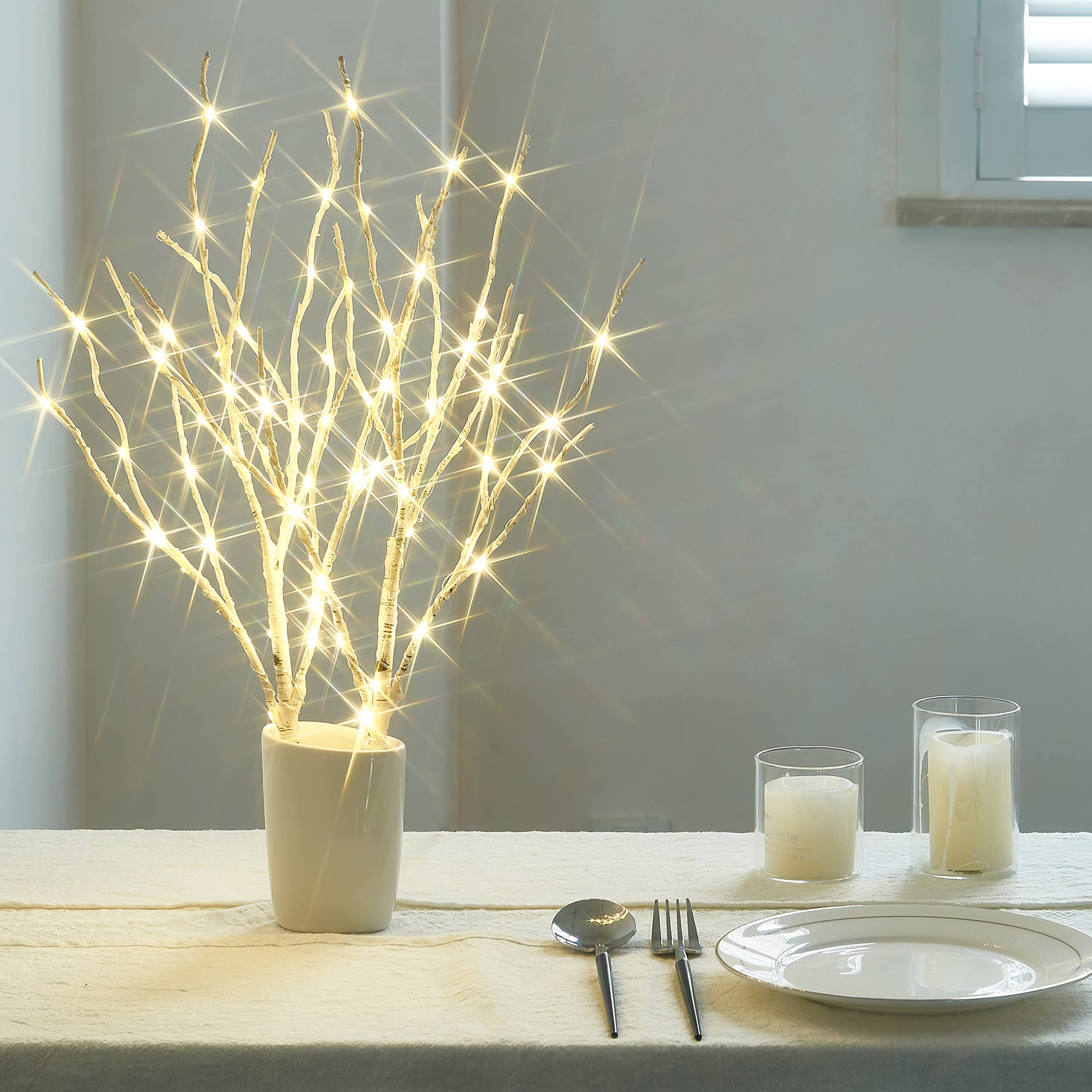 Birchlitland piques de sol inclus pour fixation extérieure stable