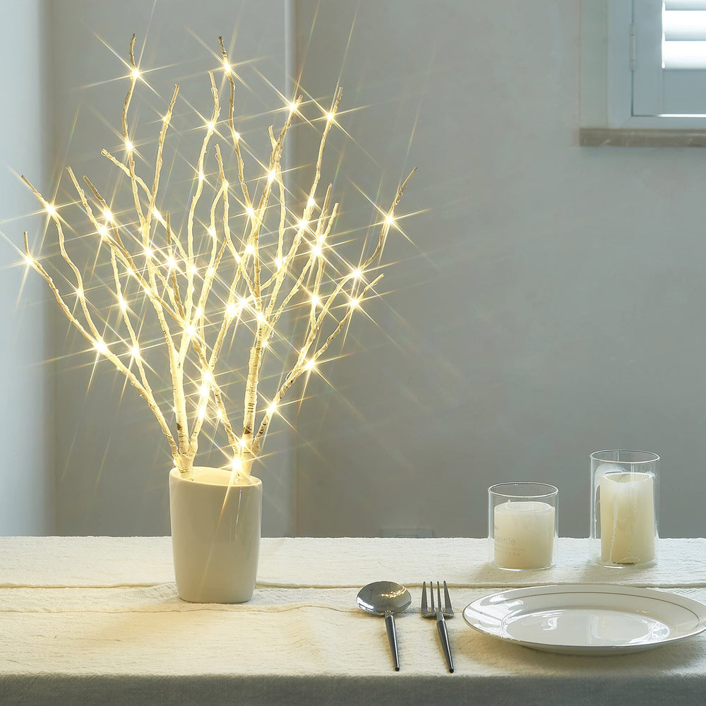 Birchlitland piques de sol inclus pour fixation extérieure stable