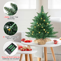 blinblintree zoom sur 30 LED chaudes diffusant une lumière douce et économique