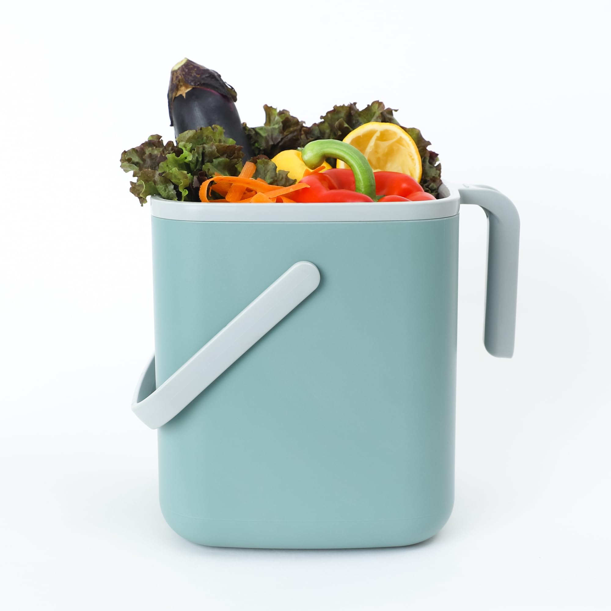 Blue Ginkgo posé sur un comptoir de cuisine, organisation et propreté