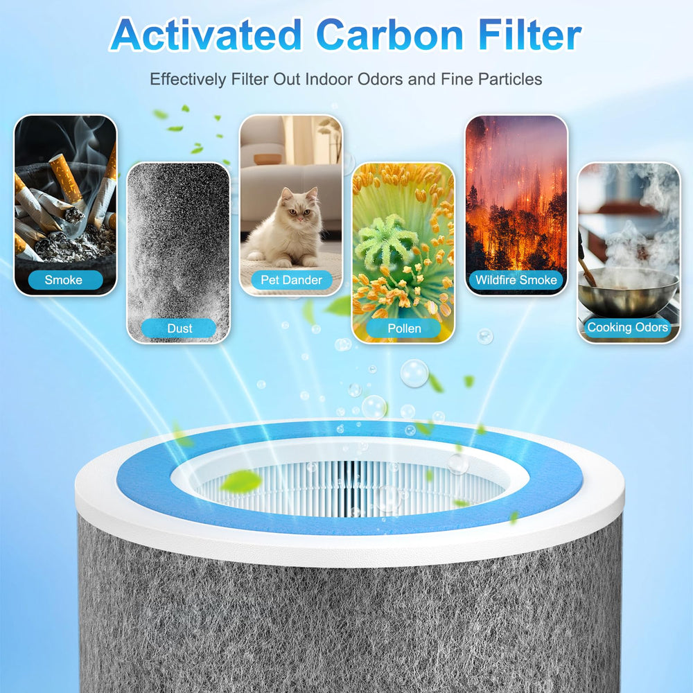 Borgodf installation montrant filtre HP102 inséré facilement dans purificateur