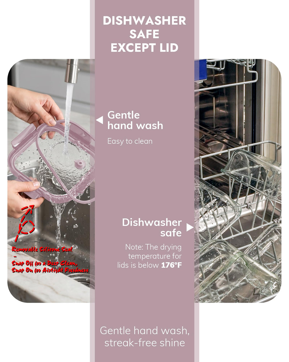 BOROHOUSE comparaison des formats 370ml et 1040ml pour portionner facilement