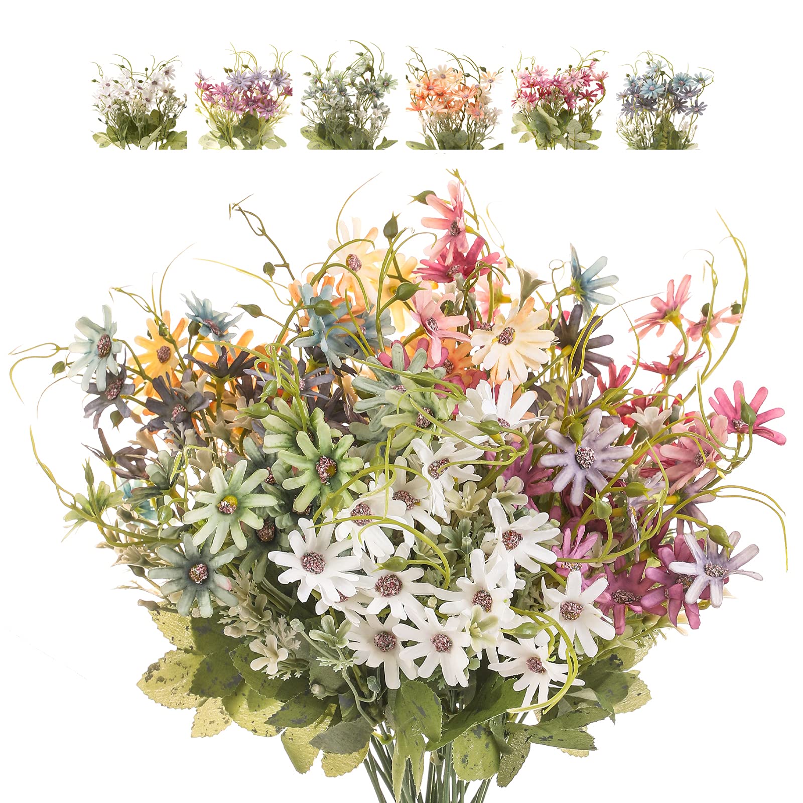 Bovvered marguerites ensemble avant montrant couleurs vives et gain de temps