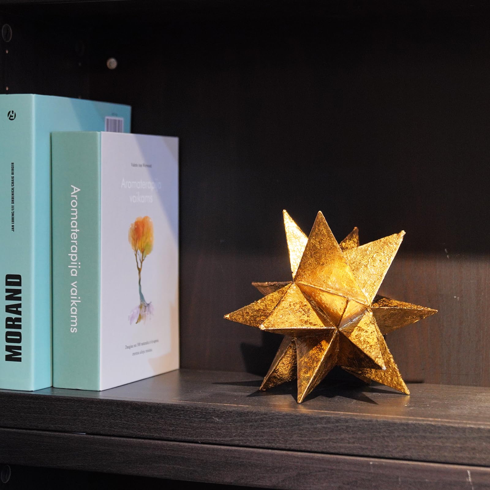 Braxio à côté d'un livre pour comparaison de taille pratique