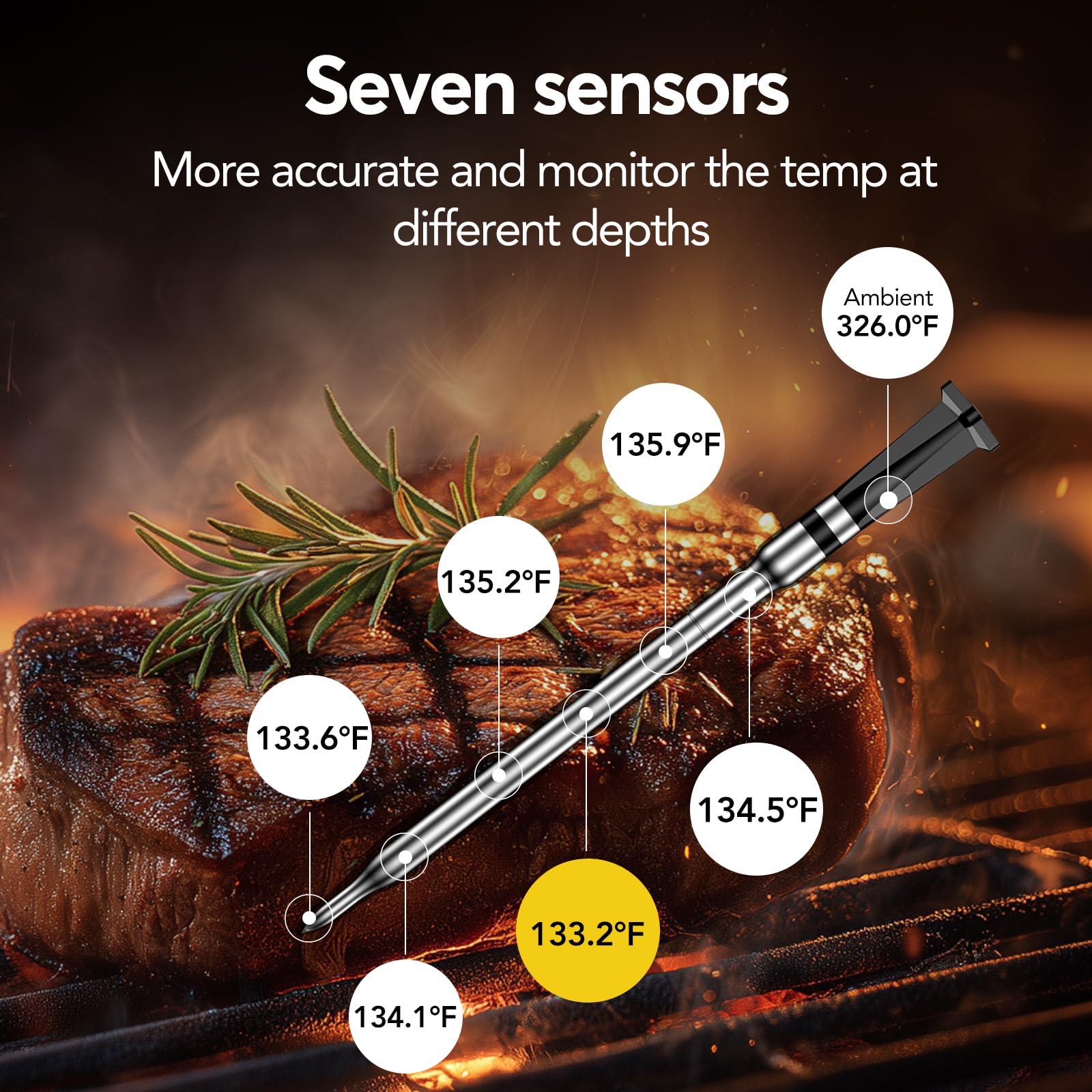 BtcLink sonde IP68 immergée pour durabilité et nettoyage facile