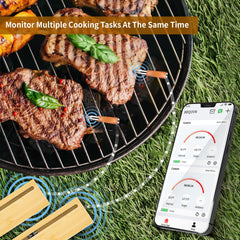BtcLink thermomètre en usage sur barbecue garantissant surveillance à distance