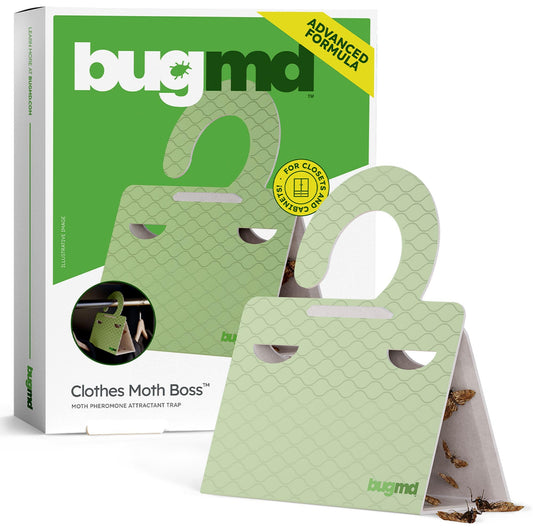 BugMD face avant du piège montrant le design et l’adhésif protecteur