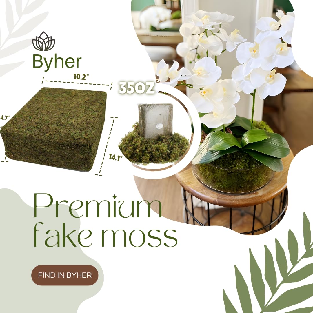 BYHER mousse intégrée dans un terrarium pour un décor stable et esthétique