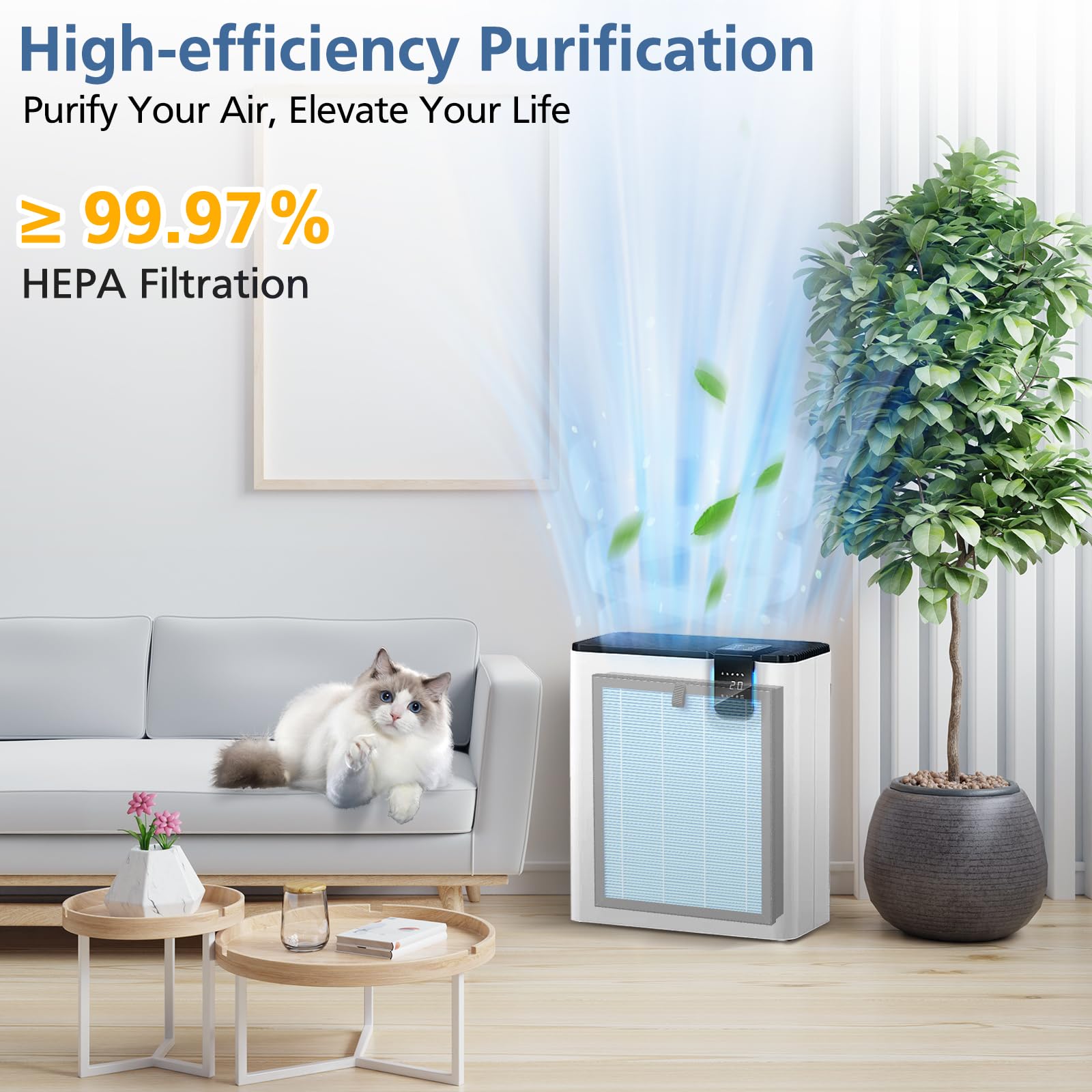 Cabiclean comparaison taille à main montrant dimensions pratiques et maniabilité