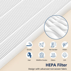 Cabiclean filtre installé dans purificateur montrant compatibilité bénéfice fonctionnement simple