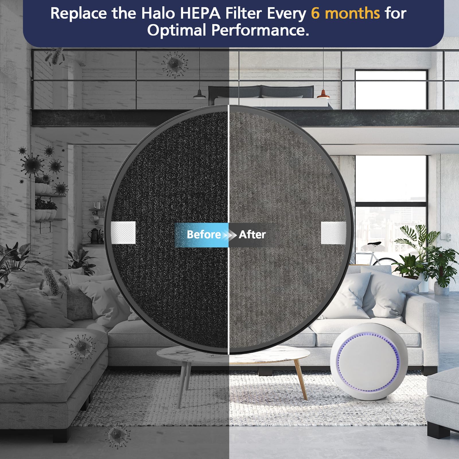 Cabiclean Halo comparaison de taille à côté d'un objet courant pour échelle pratique