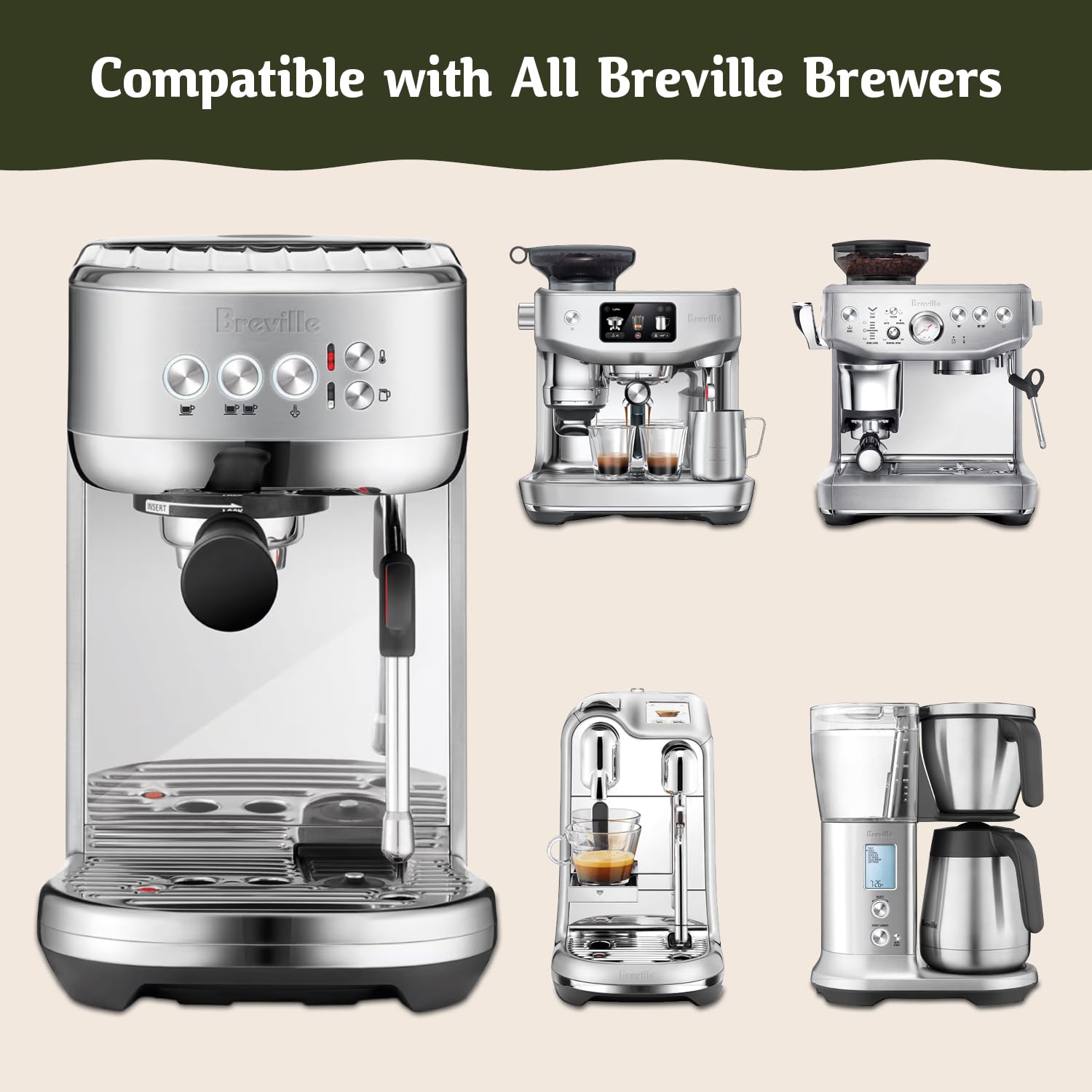 Caffe Assaggio en usage dans réservoir Breville pour nettoyage efficace des conduites