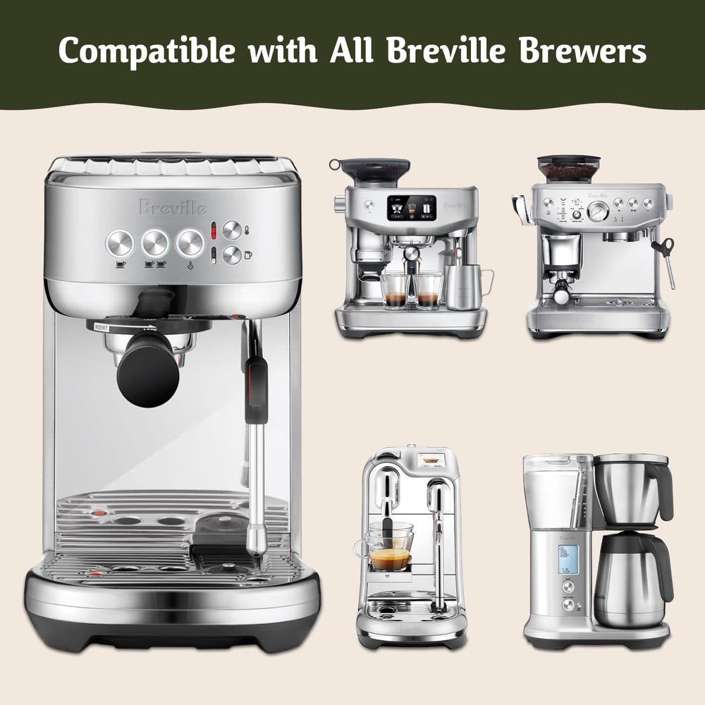 Caffe Assaggio en usage dans réservoir Breville pour nettoyage efficace des conduites