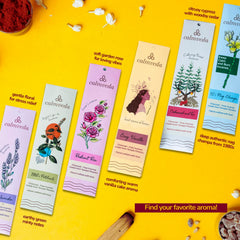 Calmveda assortiment de 12 parfums disposés, choix varié pour la maison