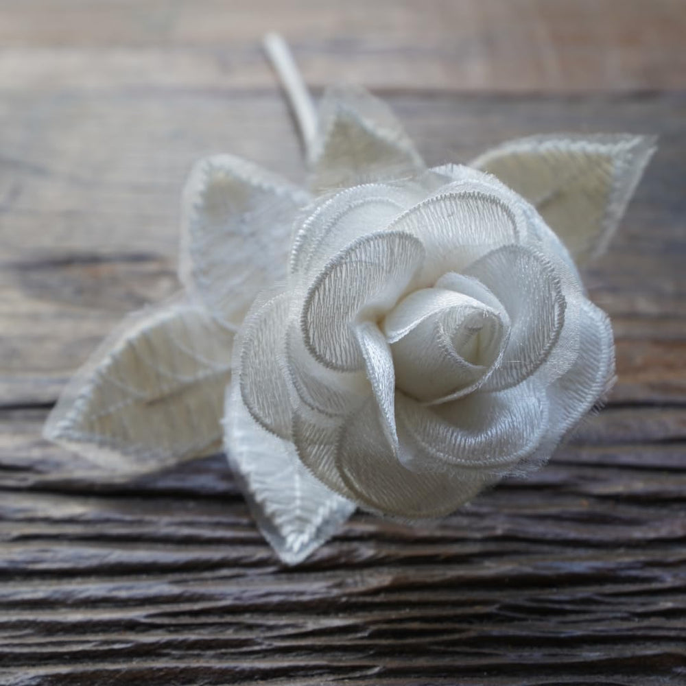 Camellia Bees coffret cadeau ouvert, présentation soignée pour offrir immédiatement