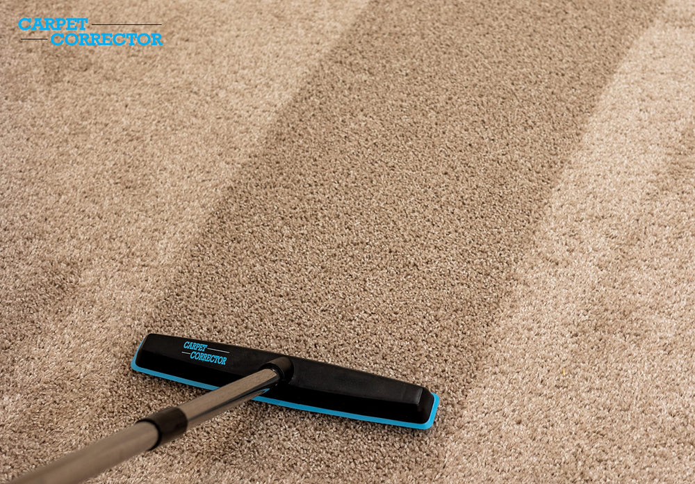 Carpet Corrector gros plan sur poils pyramidaux protégeant fibres et augmentant volume