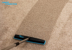 Carpet Corrector gros plan sur poils pyramidaux protégeant fibres et augmentant volume