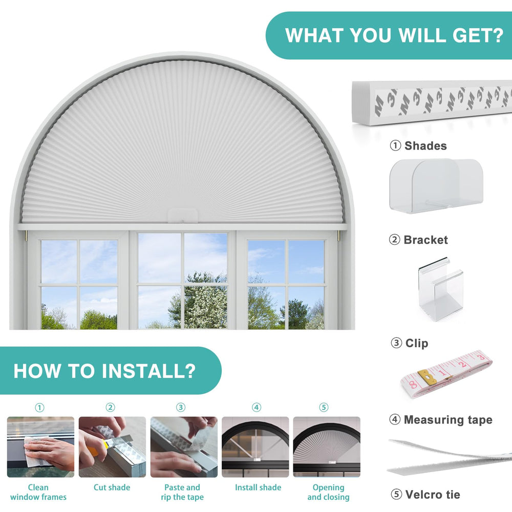 Changshade comparaison de taille avec échelle pour visualiser le rayon