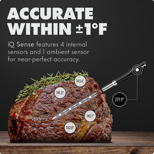 CHEF iQ sonde ultrafine gros plan pour pénétration précise et conservation des jus