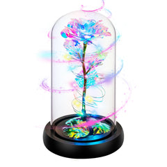 Childom dôme en verre vu de face montrant design élégant et cadeau prêt à offrir