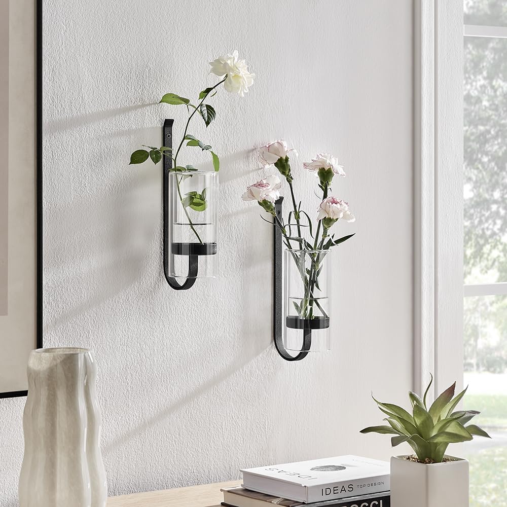 CISEANOL vase en usage avec plantes aériennes pour économiser de l'espace et décorer