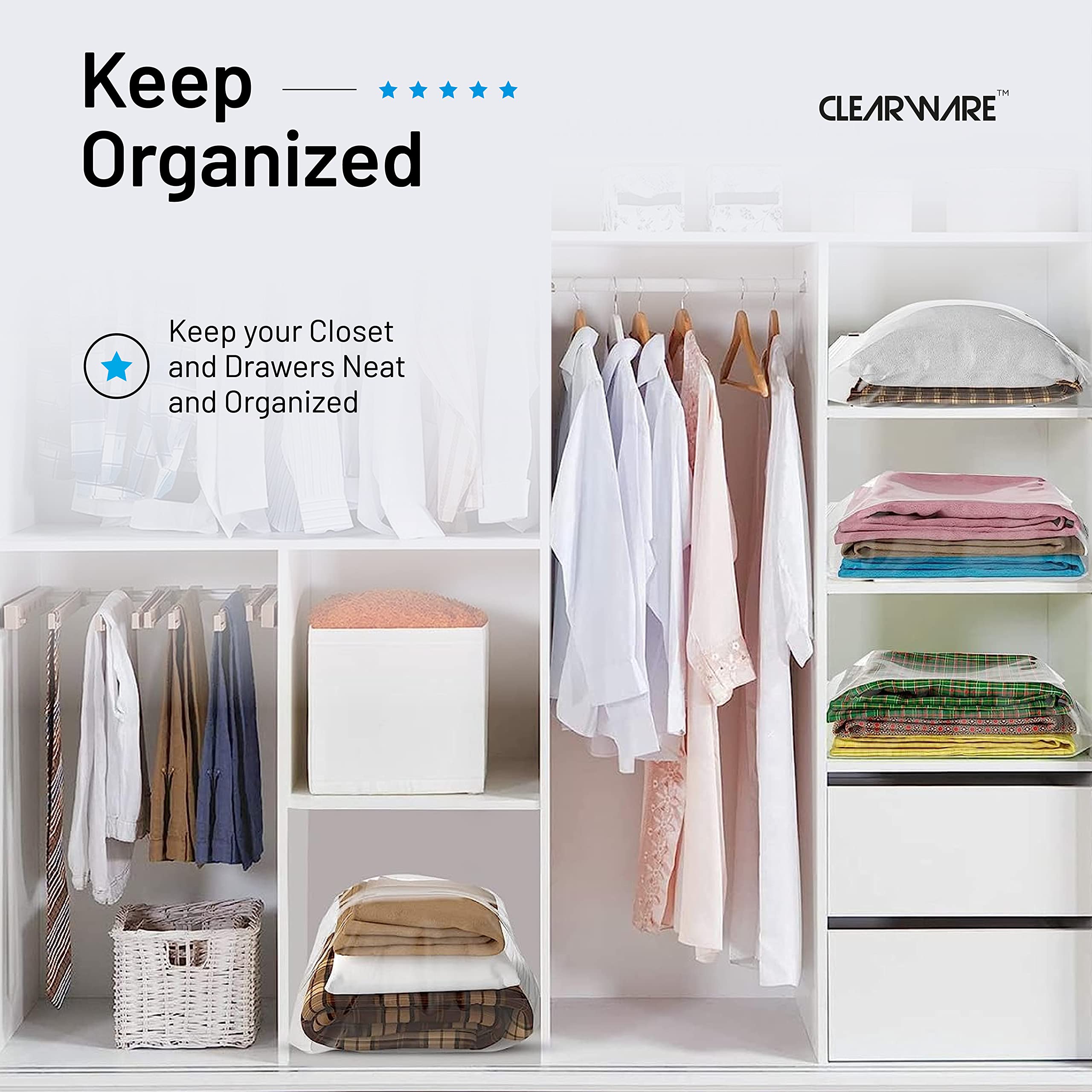 CLEARWARE comparaison taille avec plaque, visualisation claire des dimensions