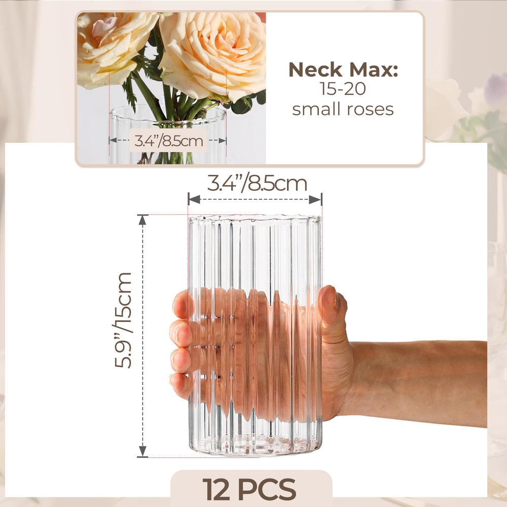 ComSaf ensemble de 12 vases pour décor homogène et gain de temps