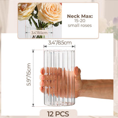 ComSaf ensemble de 12 vases pour décor homogène et gain de temps