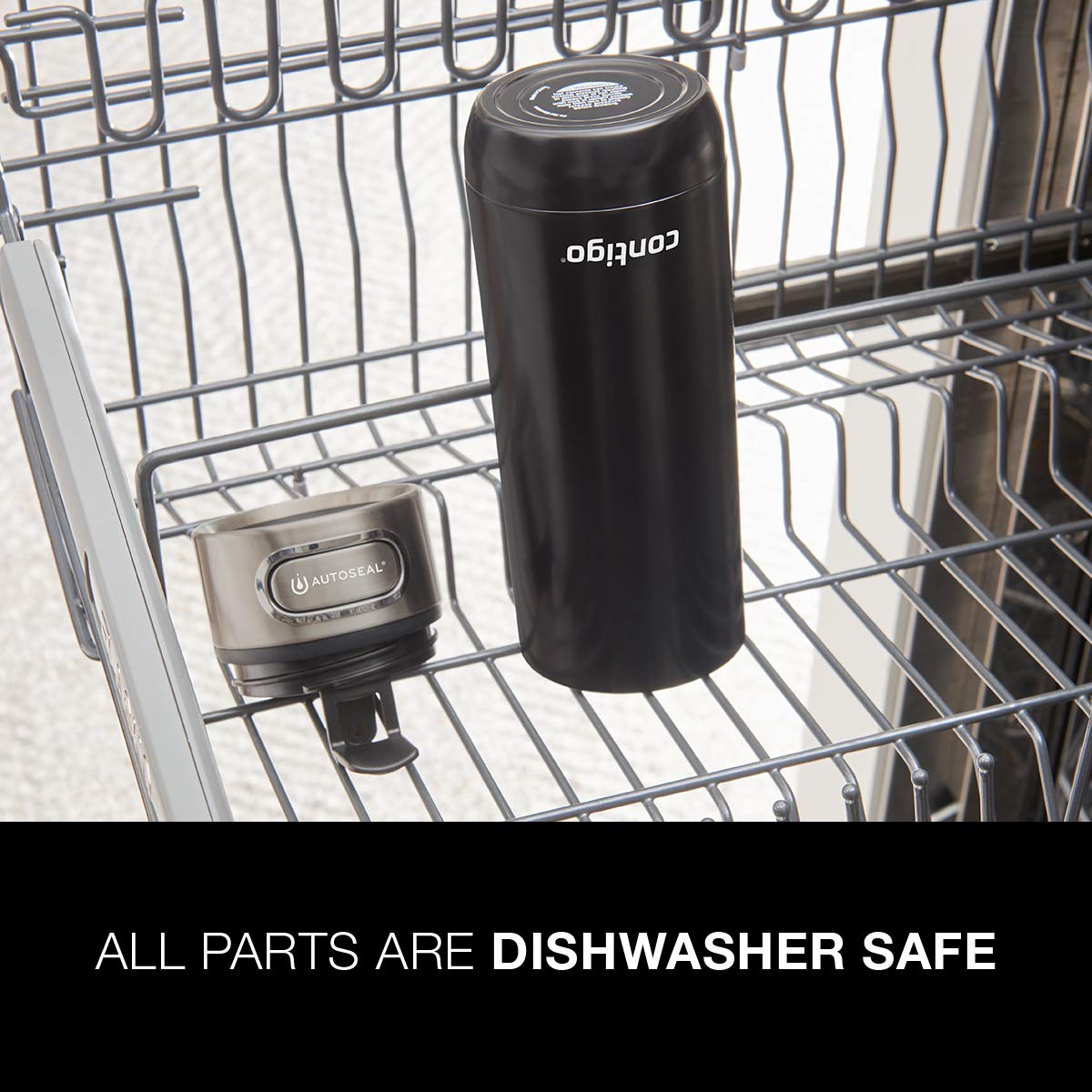 Contigo Luxe à côté d'une main pour comparaison d'échelle portable
