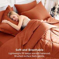 CozyLux conforter posé sur lit fait illustrant apparence prête-à-poser
