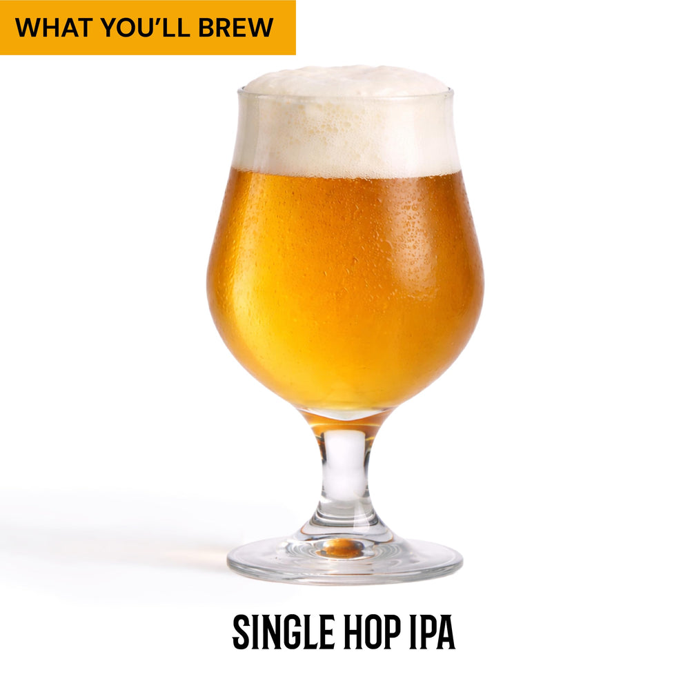 Craft A Brew gros plan houblon Cascade soulignant arômes d'agrumes