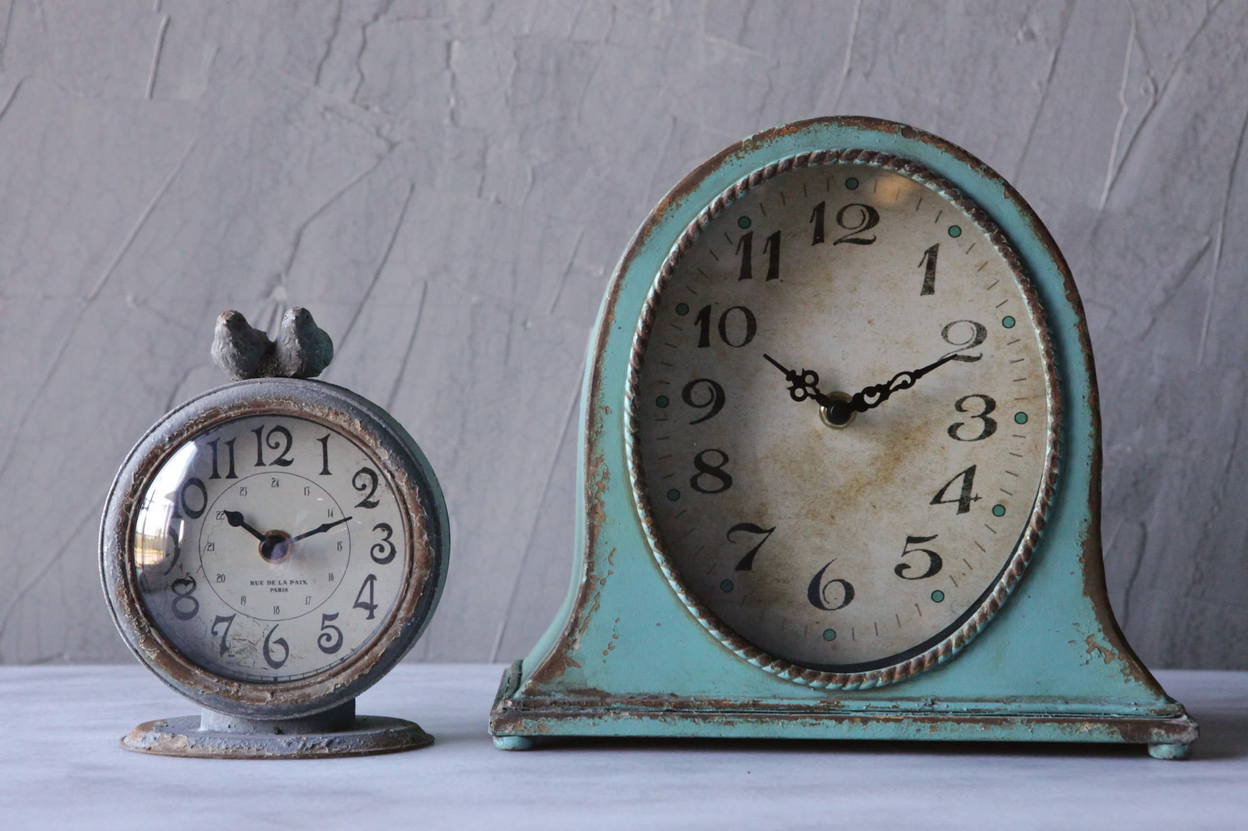 Creative Co-Op zoom sur oiseaux perchés décoratifs ajoutant personnalité