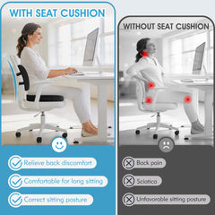 CushZone support lombaire avec sangle réglable pour maintien durable