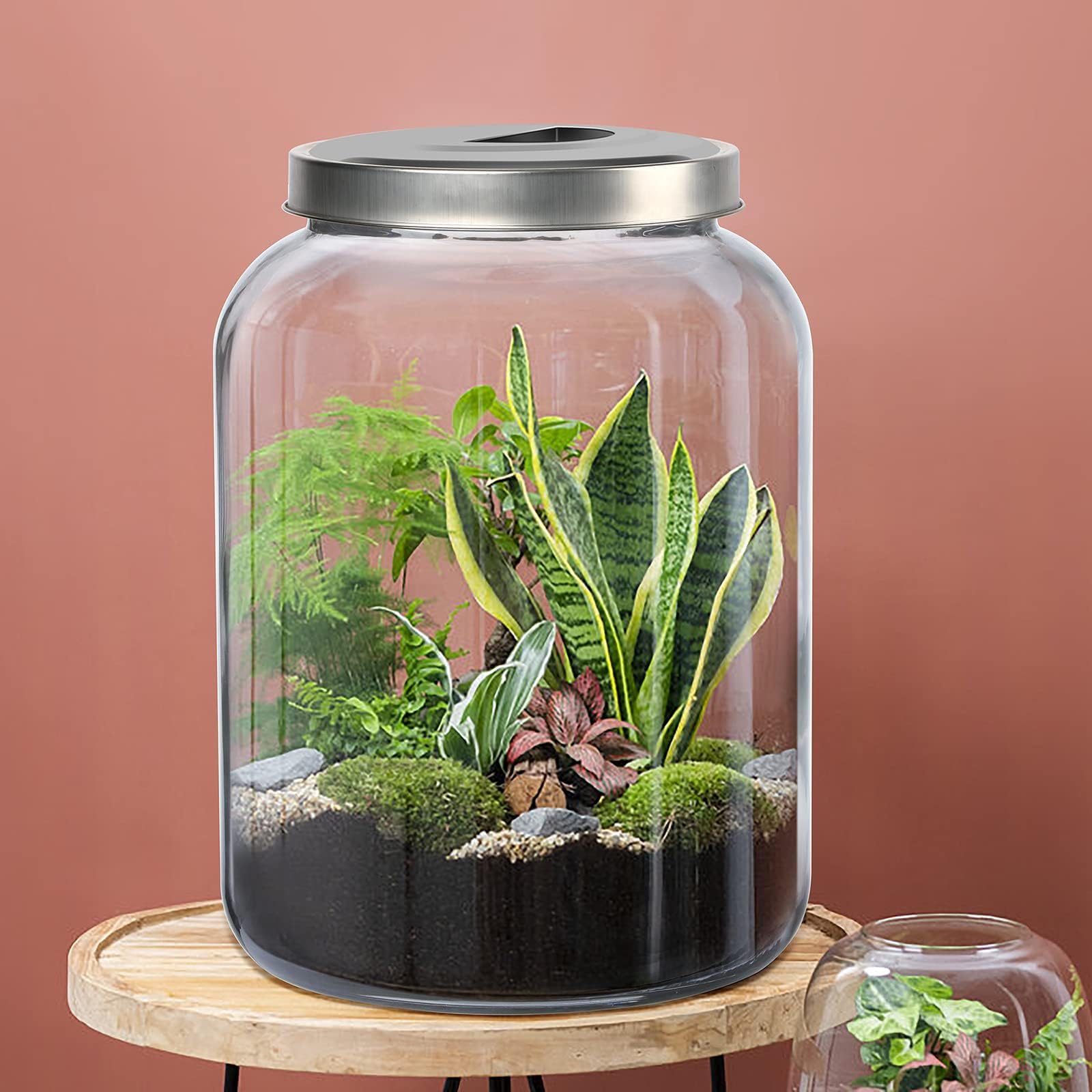Daitouge bocal en usage dans la cuisine pour organisation
