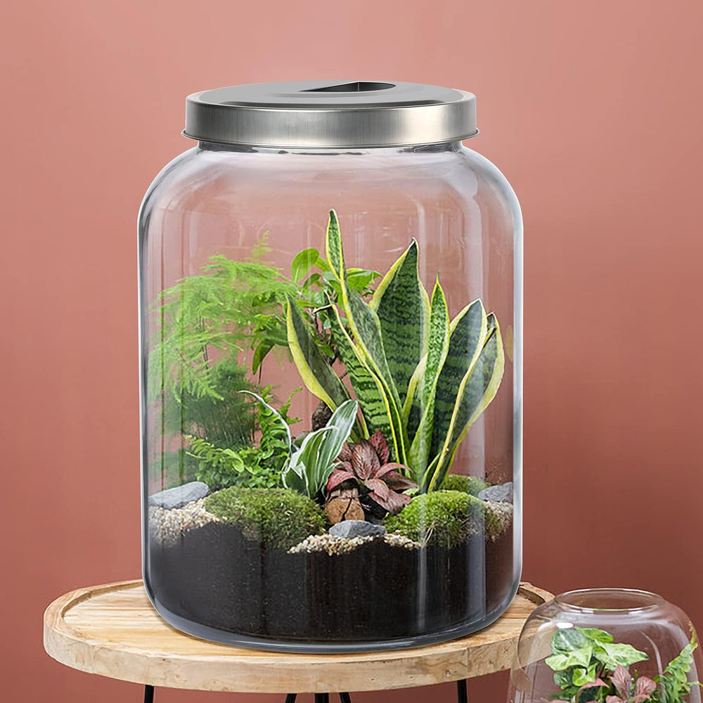 Daitouge bocal en usage dans la cuisine pour organisation