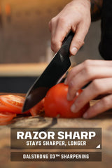Dalstrong détail manche G10 triple rivet prise sûre et imperméable