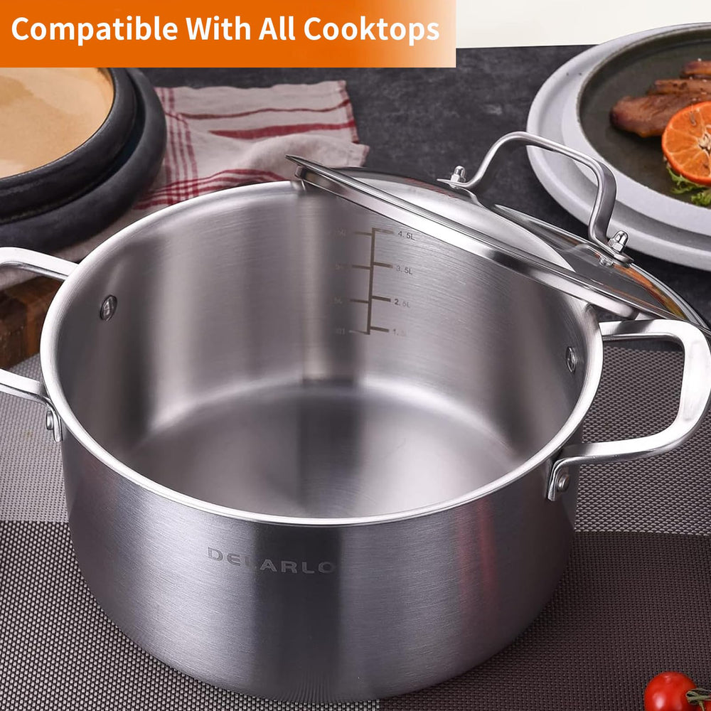 DELARLO marmite en usage sur induction, cuisson homogène efficace