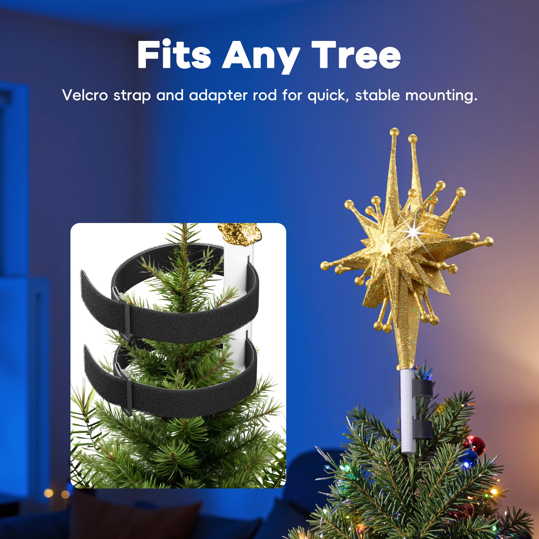 DG-Direct comparaison taille sapin montrant proportions adaptées