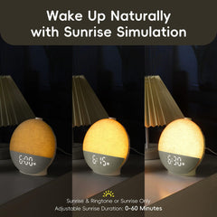 Diol Tode affichage numérique sombre, écran dimmable sans éblouir