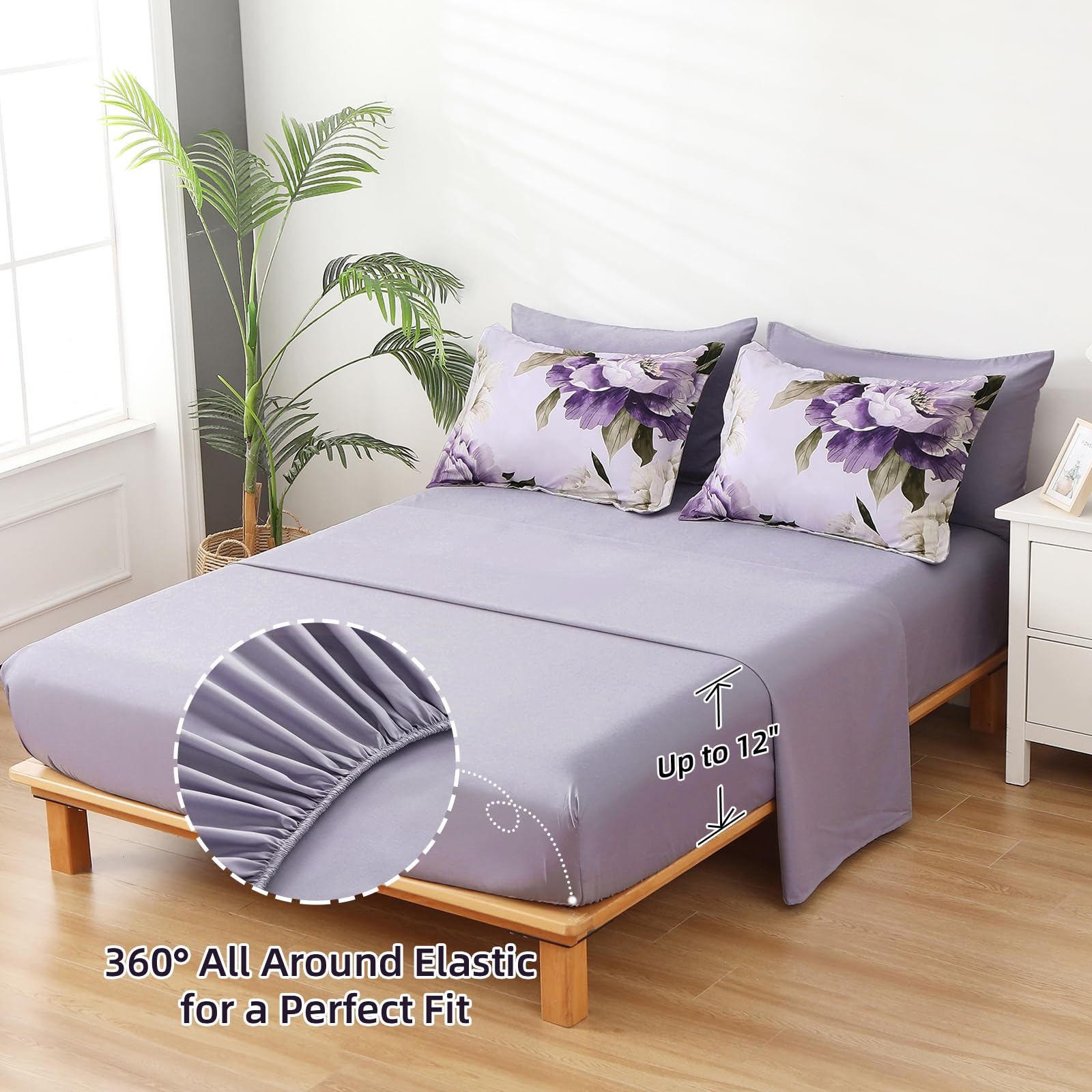 Dobuyly comparaison dimensions montrant taille queen pratique