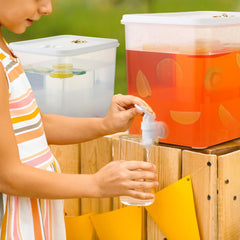Domensi colonne filtre visible et pratique pour fruits sans boucher le robinet