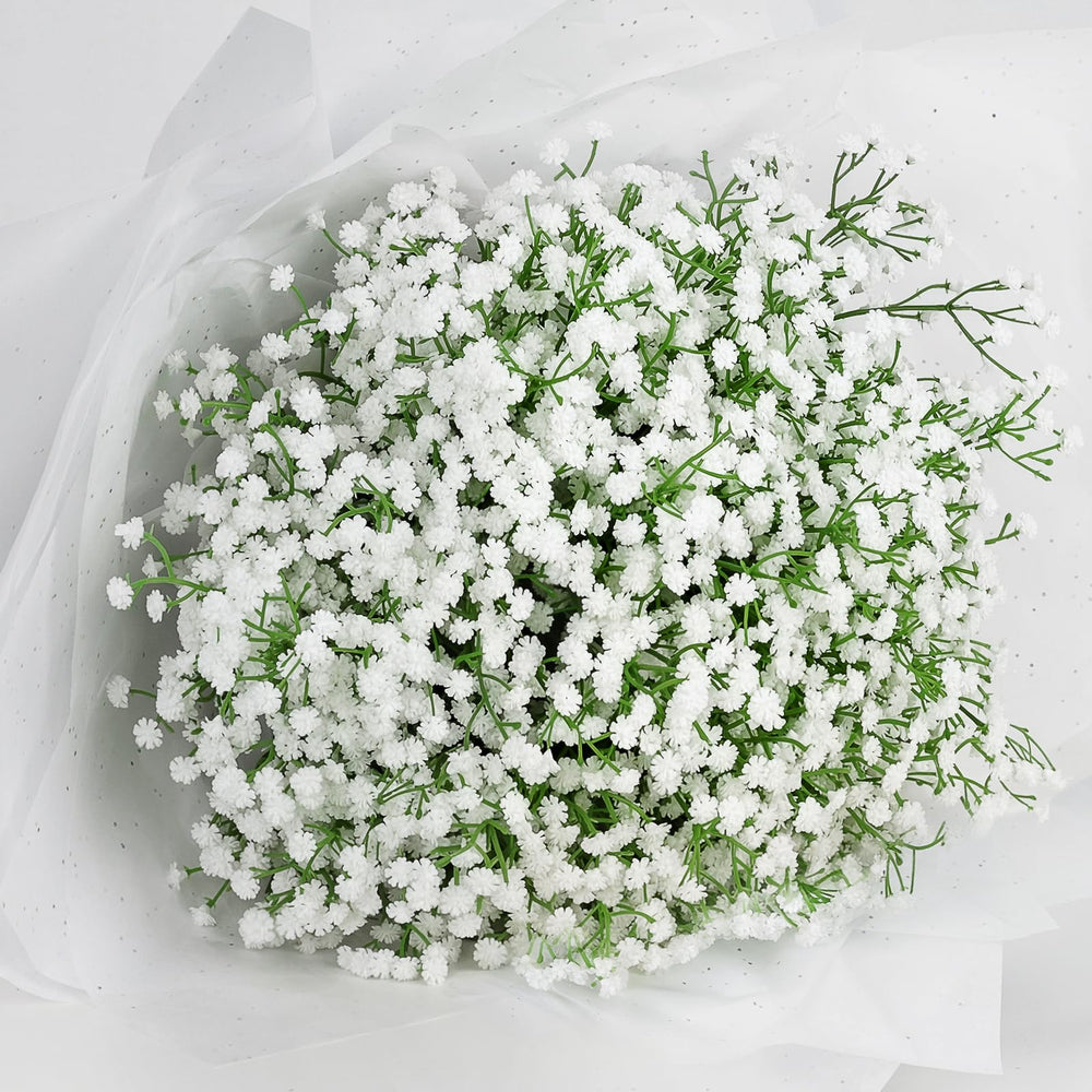 DomeStar salon décoré avec gypsophile pour ambiance durable et sans entretien