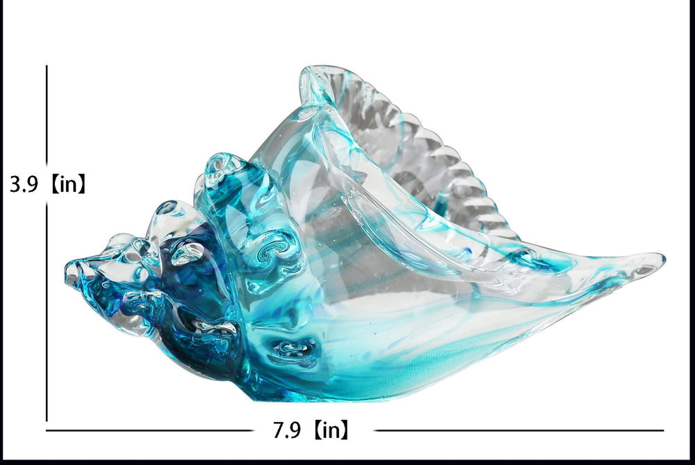 DOVDOV conque avec reflets lumineux, met en valeur la transparence