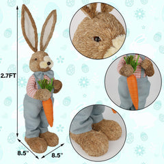 DR.DUDU détail carotte orange tenue par le lapin, ajoute une touche colorée